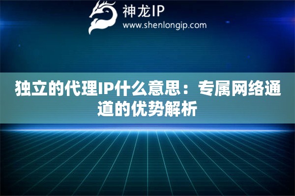 獨(dú)立的代理IP什么意思：專屬網(wǎng)絡(luò)通道的優(yōu)勢(shì)解析