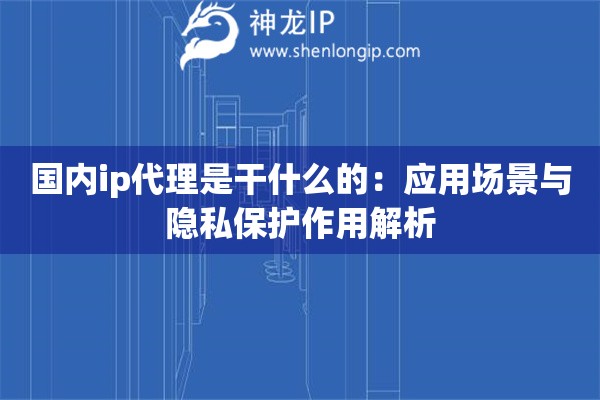 國(guó)內(nèi)ip代理是干什么的：應(yīng)用場(chǎng)景與隱私保護(hù)作用解析