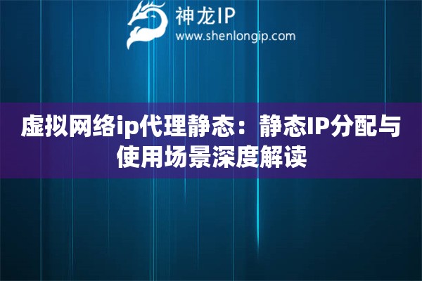 虛擬網(wǎng)絡(luò)ip代理靜態(tài)：靜態(tài)IP分配與使用場(chǎng)景深度解讀