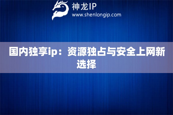 詳細(xì)閱讀:國內(nèi)獨(dú)享ip:資源獨(dú)占與安全上網(wǎng)新選擇 國內(nèi)獨(dú)享ip:資源獨(dú)占與安全上網(wǎng)新選擇