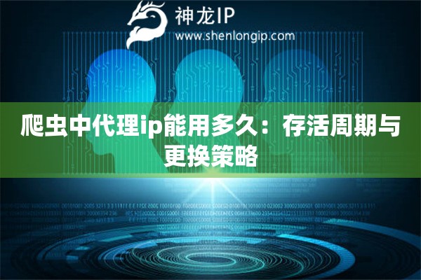 爬蟲(chóng)中代理ip能用多久：存活周期與更換策略