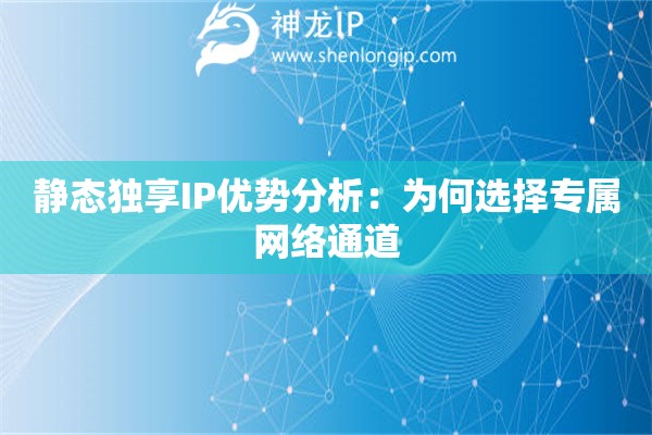 靜態(tài)獨(dú)享IP優(yōu)勢分析：為何選擇專屬網(wǎng)絡(luò)通道