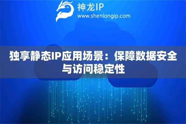 獨享靜態(tài)IP應(yīng)用場景：保障數(shù)據(jù)安全與訪問穩(wěn)定性