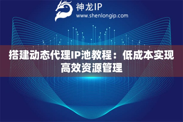 搭建動態(tài)代理IP池教程：低成本實現(xiàn)高效資源管理