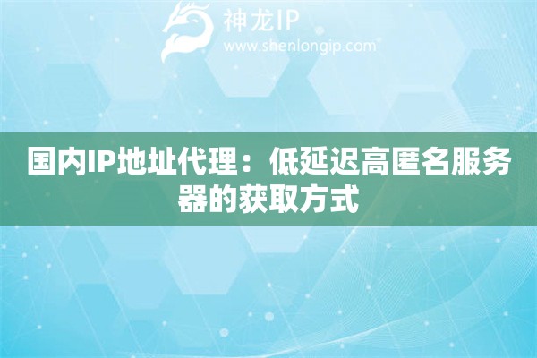 國(guó)內(nèi)IP地址代理：低延遲高匿名服務(wù)器的獲取方式