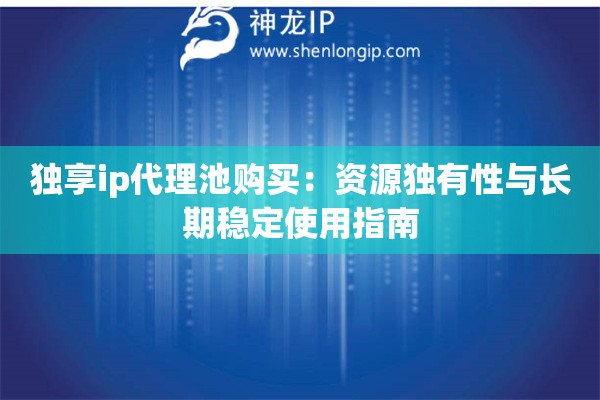 獨(dú)享ip代理池購買：資源獨(dú)有性與長期穩(wěn)定使用指南