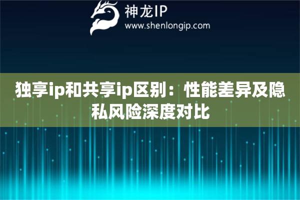 獨(dú)享ip和共享ip區(qū)別：性能差異及隱私風(fēng)險深度對比