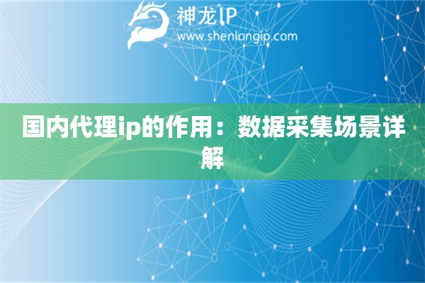 國內(nèi)代理ip的作用：數(shù)據(jù)采集場景詳解