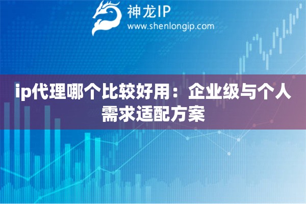 ip代理哪個比較好用：企業(yè)級與個人需求適配方案