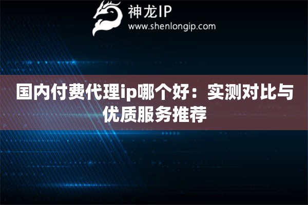 國(guó)內(nèi)付費(fèi)代理ip哪個(gè)好：實(shí)測(cè)對(duì)比與優(yōu)質(zhì)服務(wù)推薦