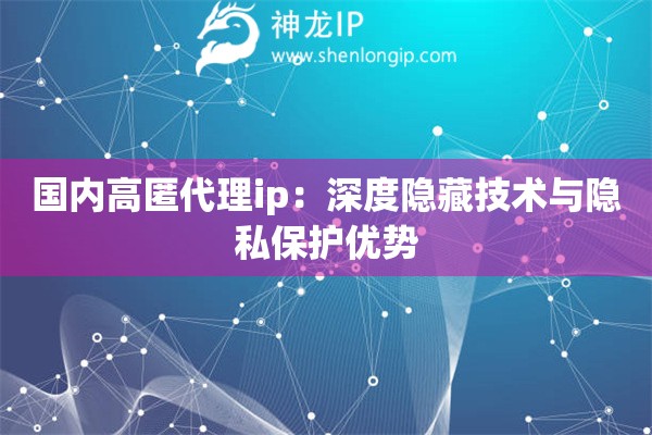 國(guó)內(nèi)高匿代理ip：深度隱藏技術(shù)與隱私保護(hù)優(yōu)勢(shì)