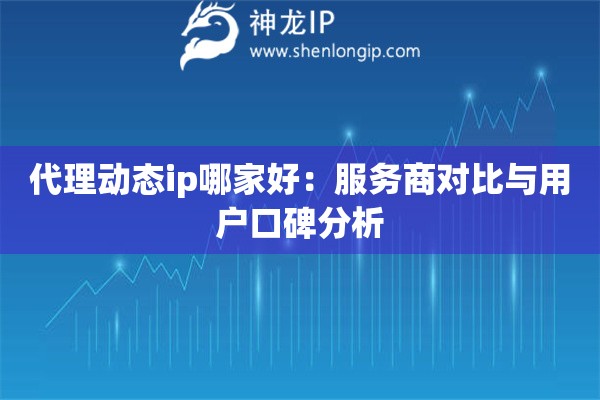 代理動(dòng)態(tài)ip哪家好：服務(wù)商對(duì)比與用戶口碑分析