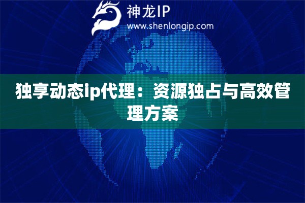 獨(dú)享動(dòng)態(tài)ip代理：資源獨(dú)占與高效管理方案