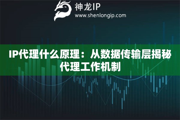 IP代理什么原理：從數(shù)據(jù)傳輸層揭秘代理工作機制