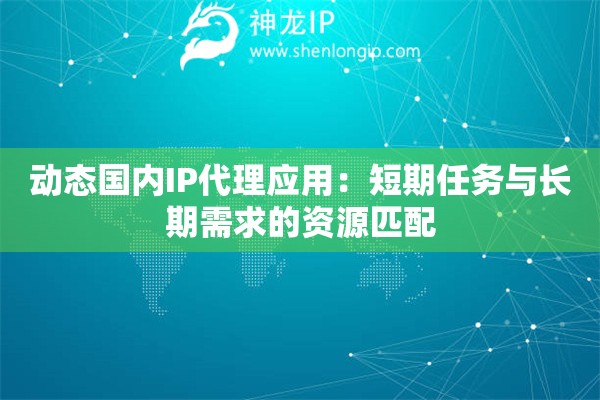 動(dòng)態(tài)國(guó)內(nèi)IP代理應(yīng)用：短期任務(wù)與長(zhǎng)期需求的資源匹配