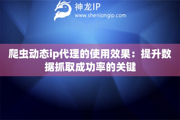 爬蟲動態(tài)ip代理的使用效果：提升數(shù)據(jù)抓取成功率的關(guān)鍵