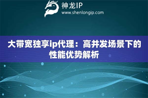 大帶寬獨享ip代理：高并發(fā)場景下的性能優(yōu)勢解析