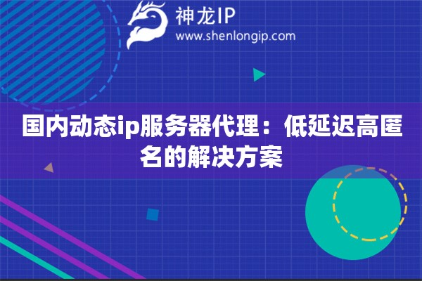 國內(nèi)動(dòng)態(tài)ip服務(wù)器代理：低延遲高匿名的解決方案