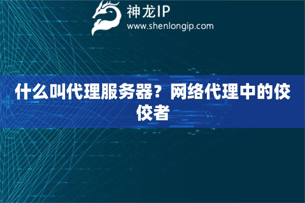 什么叫代理服務(wù)器？網(wǎng)絡(luò)代理中的佼佼者