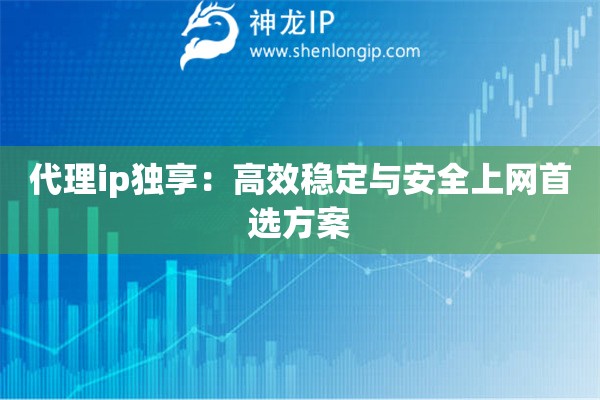 代理ip獨(dú)享：高效穩(wěn)定與安全上網(wǎng)首選方案