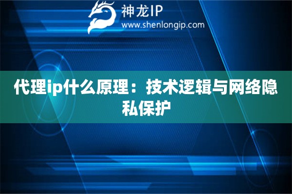詳細(xì)閱讀:代理ip什么原理:技術(shù)邏輯與網(wǎng)絡(luò)隱私保護(hù) 代理ip什么原理:技術(shù)邏輯與網(wǎng)絡(luò)隱私保護(hù)