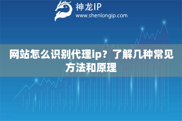 網(wǎng)站怎么識(shí)別代理ip？了解幾種常見方法和原理