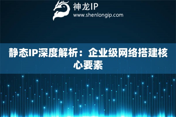 靜態(tài)IP深度解析：企業(yè)級網(wǎng)絡(luò)搭建核心要素