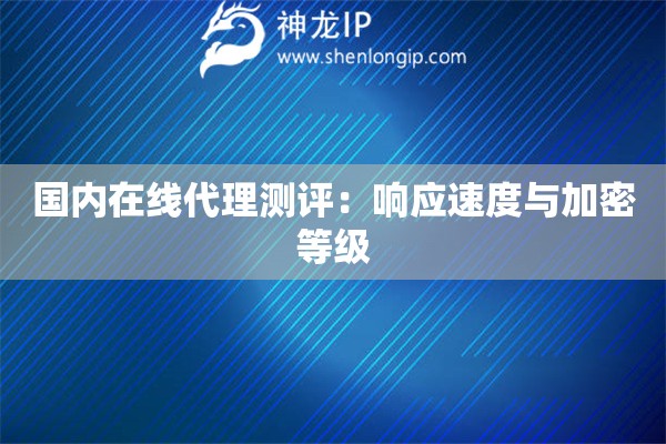 國內(nèi)在線代理測(cè)評(píng)：響應(yīng)速度與加密等級(jí)