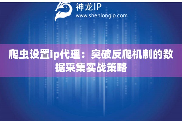 爬蟲(chóng)設(shè)置ip代理：突破反爬機(jī)制的數(shù)據(jù)采集實(shí)戰(zhàn)策略