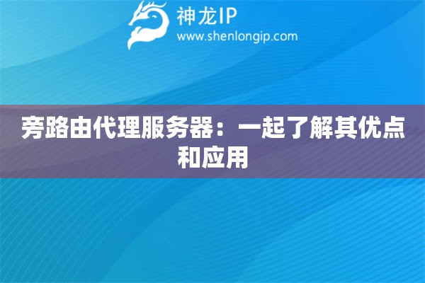 旁路由代理服務(wù)器：一起了解其優(yōu)點和應(yīng)用