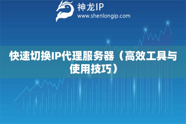 快速切換IP代理服務(wù)器（高效工具與使用技巧）