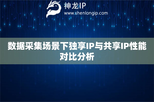 數(shù)據(jù)采集場景下獨(dú)享IP與共享IP性能對比分析