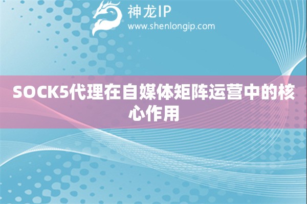 SOCK5代理在自媒體矩陣運(yùn)營中的核心作用