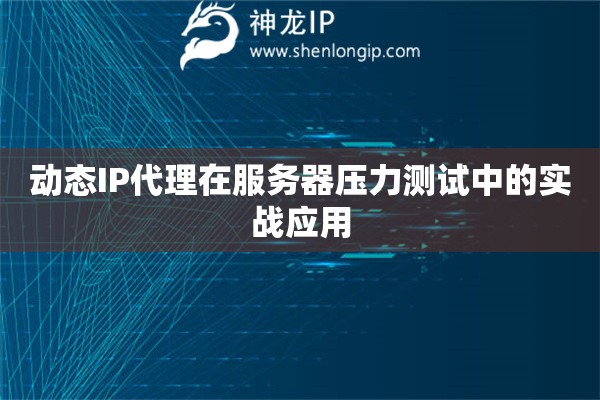 動(dòng)態(tài)IP代理在服務(wù)器壓力測(cè)試中的實(shí)戰(zhàn)應(yīng)用