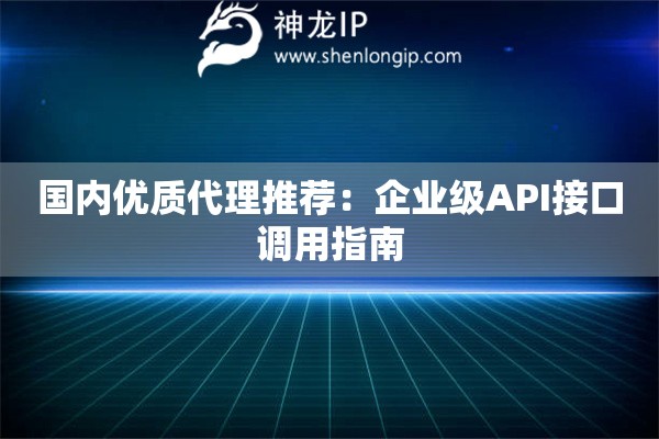國內(nèi)優(yōu)質(zhì)代理推薦：企業(yè)級(jí)API接口調(diào)用指南