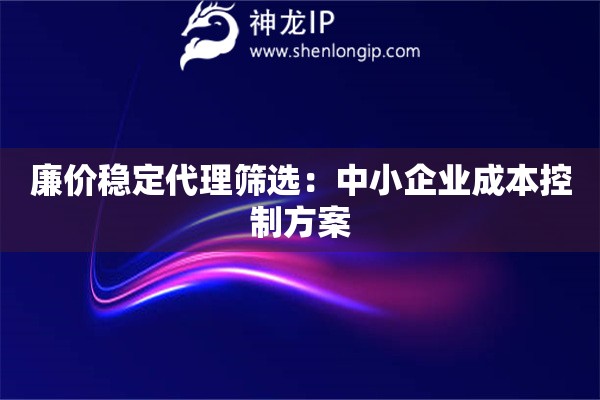廉價穩(wěn)定代理篩選：中小企業(yè)成本控制方案