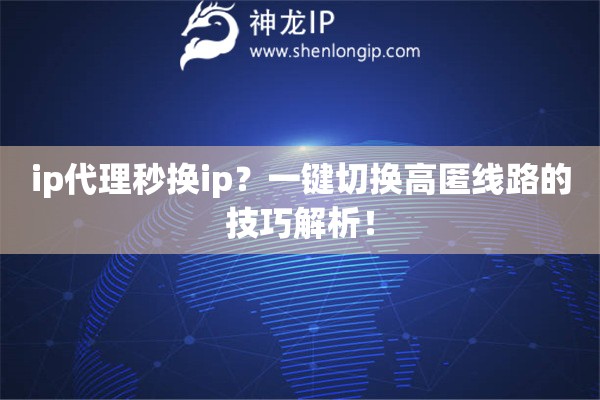 ip代理秒換ip？一鍵切換高匿線路的技巧解析！