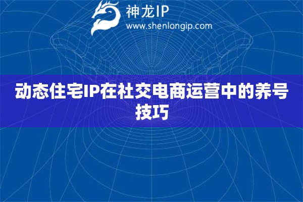 詳細(xì)閱讀:動態(tài)住宅IP在社交電商運(yùn)營中的養(yǎng)號技巧 動態(tài)住宅IP在社交電商運(yùn)營中的養(yǎng)號技巧