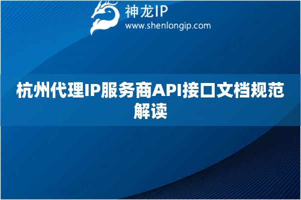 杭州代理IP服務(wù)商API接口文檔規(guī)范解讀