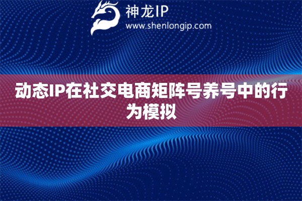 動(dòng)態(tài)IP在社交電商矩陣號(hào)養(yǎng)號(hào)中的行為模擬