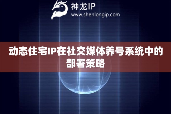 動(dòng)態(tài)住宅IP在社交媒體養(yǎng)號(hào)系統(tǒng)中的部署策略