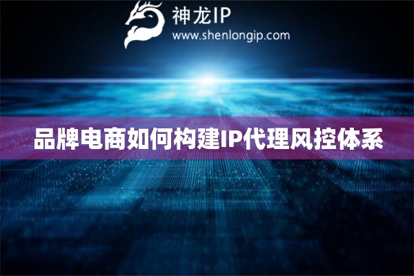 詳細(xì)閱讀:品牌電商如何構(gòu)建IP代理風(fēng)控體系 品牌電商如何構(gòu)建IP代理風(fēng)控體系