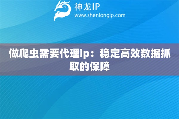 做爬蟲需要代理ip：穩(wěn)定高效數(shù)據(jù)抓取的保障