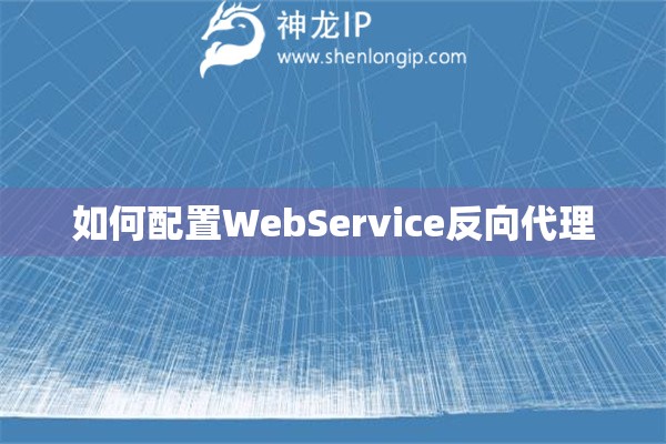 如何配置WebService反向代理