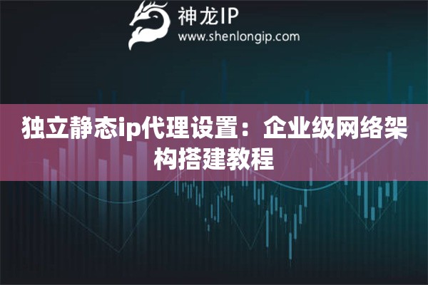 詳細(xì)閱讀:獨(dú)立靜態(tài)ip代理設(shè)置:企業(yè)級(jí)網(wǎng)絡(luò)架構(gòu)搭建教程 獨(dú)立靜態(tài)ip代理設(shè)置:企業(yè)級(jí)網(wǎng)絡(luò)架構(gòu)搭建教程