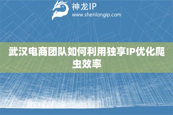 武漢電商團(tuán)隊(duì)如何利用獨(dú)享IP優(yōu)化爬蟲效率