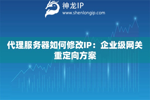 代理服務器如何修改IP：企業(yè)級網(wǎng)關重定向方案
