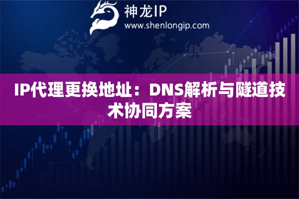 IP代理更換地址：DNS解析與隧道技術協(xié)同方案