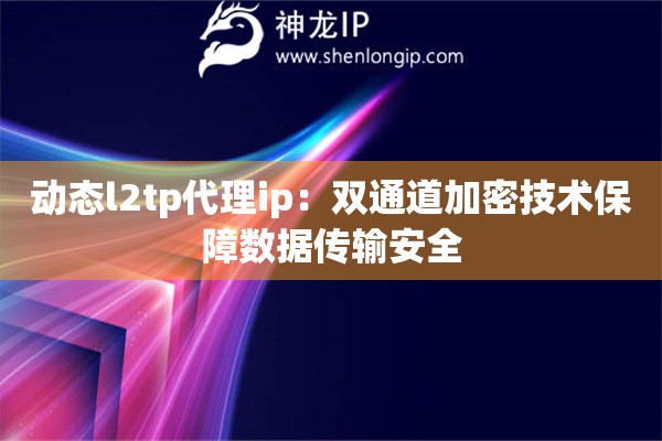 動(dòng)態(tài)l2tp代理ip：雙通道加密技術(shù)保障數(shù)據(jù)傳輸安全