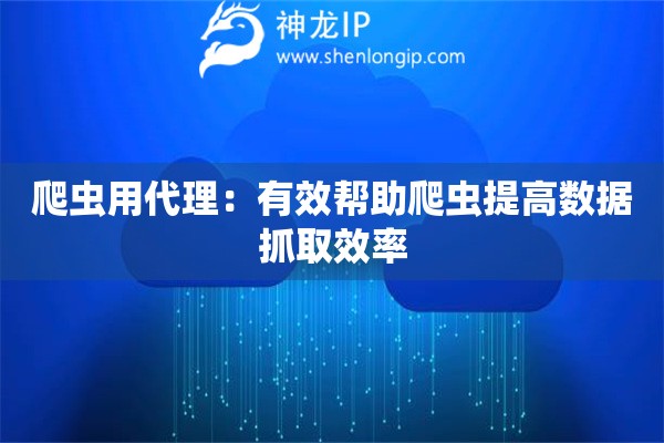 爬蟲用代理：有效幫助爬蟲提高數(shù)據(jù)抓取效率